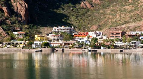 The Ultimate Guide to San Carlos: 11 Things You Need to Know .